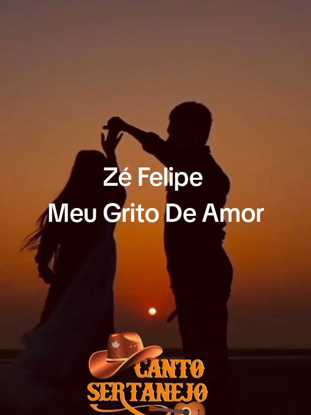 Zé Felipe  #sertanejo #fyp #musicasertaneja #musica #modao 