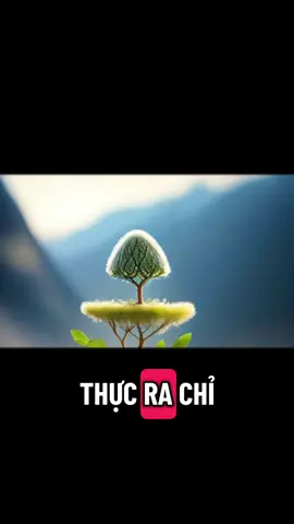 Bình tĩnh sống 24.10.2025 #binhtinhsong #tichcucmoingay #camxuctichcuc #chualanhtamhon #truyendongluc 