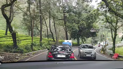 #fyp #puncakbogor #puncak 