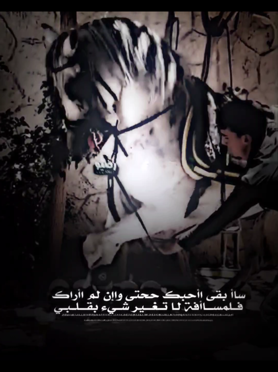 توه يلاه رتاح بالي 💔  . . . . . . . . . .#خيل_وخياله🐎 #اهوازي #ردح #تصميم_فيديوهات🎶🎤🎬 #fyp 