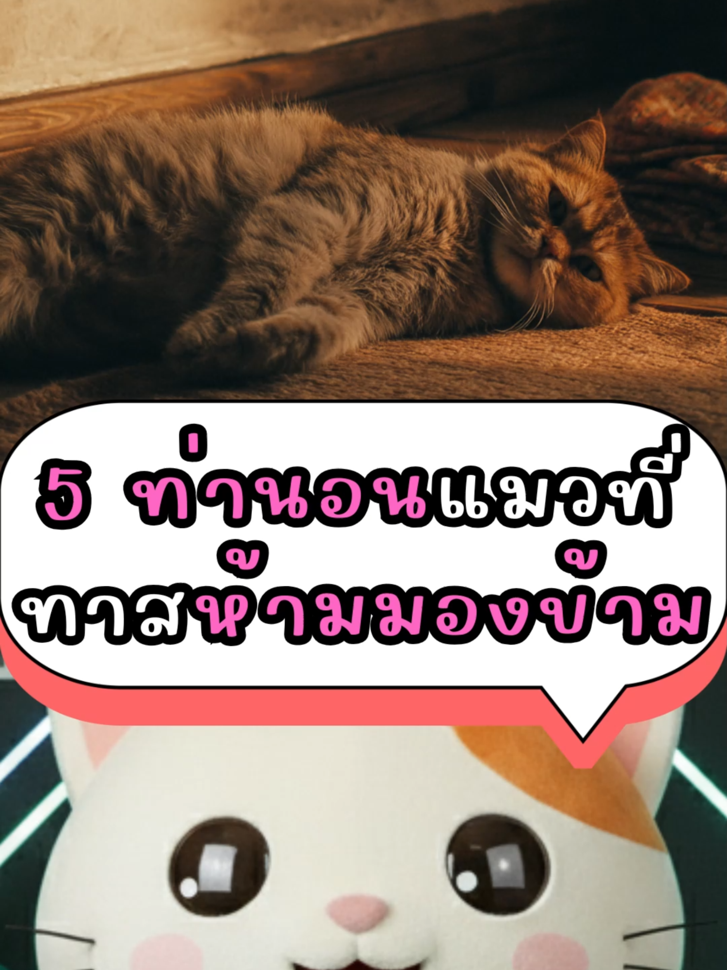 5ท่านอนแมวที่ทาสแมวห้ามมองข้ามเด็ดขาด!! #mofumofubrand #ท่านอนแมว #ทาสแมว #CatCare