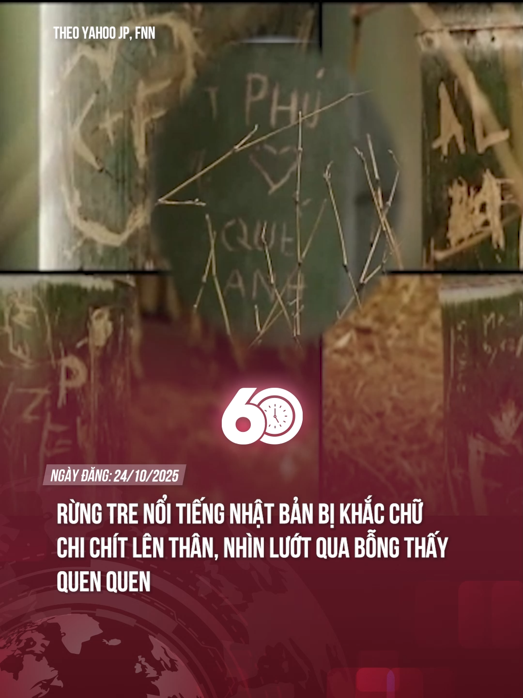 Rừng tre nổi tiếng Nhật Bản bị khắc chữ chi chít lên thân, nhìn lướt qua bỗng thấy quen quen #theanh28 #tiktoknews #60giay
