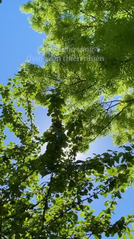 📌 🌏   Vị trí Trung Tâm Q7  Bàn giao full nội thất chuẩn 4.0 Bên Sông Nam SG - Tiến độ thanh toán tới 30 tháng - Vốn tự có 30% - Vay ngân hàng 70% ( không đóng gốc lãi trong 2 năm ) 💰💰 - Giá tuyệt chủng: 7xtr/M2 - Pháp lý chuẩn chỉnh #SunshineSkyCity  - Chính thức nhận booking 50tr/ căn cho tới ngày 31/10/2025 ✅ để hưởng Ck 1% ☎️: 0372829097 #quan7 #sunshineskycity 