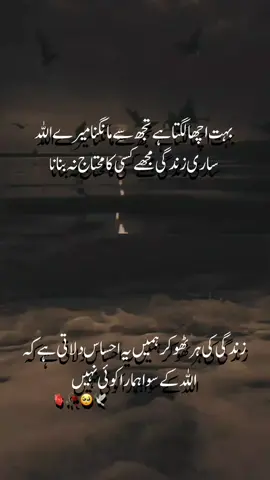 Part 30| #2linespoetry #urdupoetry #foryou #foryoupage #truelines 