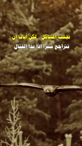 تصميم فيديوهات اكسبلور 