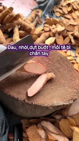 Đau buốt,nhức mỏi khó chịu , tê bì chân tay dùng hiệu quả tuyệt vời#baithuocdangian #thaoduocdantoc #lieulaocai #baithuochay #baithuocgiatruyen #thaoduocthiennhien #cayxauho #thiennienkien #thoatvidiadem #thaoduocxuongkhop #tebichantay #gaidoicotsong #dauthankinhtoa #thiennienkienkho #caymacco #viemkhop #caytrinhnu #thoatvidiadem 