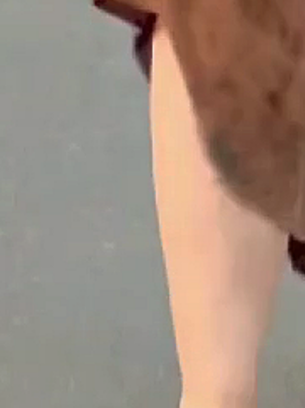 #viral #creatorsearchinsights #fariihauni #fyp 