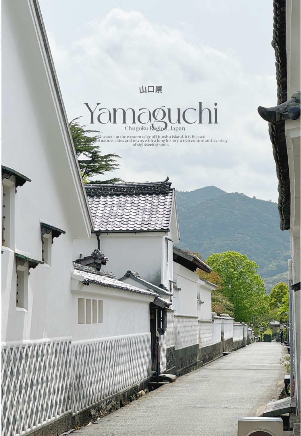 เที่ยวญี่ปุ่นรอบนี้บอกเลยว่าไม่มีเบื่อแน่นอน เพราะทุกมุมของจังหวัด 𝐘𝐚𝐦𝐚𝐠𝐮𝐜𝐡𝐢  เต็มไปด้วยเสน่ห์ที่รอให้ค้นหา ทั้งวิวทะเลสุดอลัง หมู่บ้านอบอุ่น ผู้คนเป็นมิตร คาเฟ่น่ารัก และมุมถ่ายรูปเพียบ ถ้าพร้อมแล้วก็เก็บกระเป๋าแล้วไปลุยด้วยกันเลย! 🌸✈️🍵📸✨ #เที่ยวญี่ปุ่น #岩国 #yamaguchi #iwakuni #fukuoka 