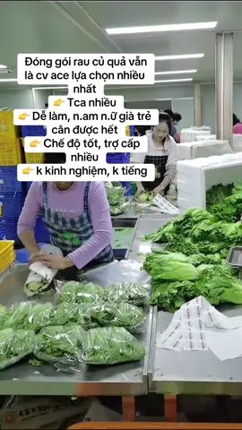 #congvieccuatoi #xklđailoan🇹🇼 #xuhuongtiktok #taiwan🇹🇼 #dailoan