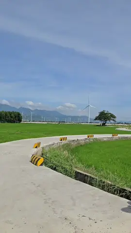 Cánh đồng điện gió đẹp đến nao lòng. Nếu có dịp nhất định sẽ quay lại để có 1 chiếc video chỉn chu hơn❤️ #diengiodamnai  #vinhhy  #dulichvietnam  #ninhthuan 