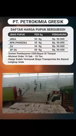 DAFTAR HARGA PUPUK SUBSIDI  PT.PETROKIMIA GRESIK TAHUN 2025 UREA.             : Rp.90.000/Sak PHONSKA.     : Rp.90.000/Sak ZA.                   : Rp.90.000/Sak SP 36.              : Rp.90.000/Sak * Keterangan Isi Per Sak (50kg)  * Harga Yang Trtera Sudah Termasuk Ongkir * Sistem Pembayaran COD/Bayar Di Tempat * Minimal Order 10 Sak - 10 Ton * Tampa DP Awal / Bayar Duluan * Pupuk 100% Asli Bisa Di Cek Setelah Sampai Untuk info pemesanan pupuk lebih jelasnya silahkan chat/tlfon melalui Nomor WhatsApp admin:085696091753 #pupuk #petaniindonesia🇮🇩🇮🇩🇮🇩🌿🌿 #untukpetani #untukyakyat #fyppppppp 