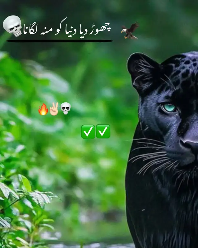 #100k #fyp #foryou #foryoupage #unfreezmyaccoutplzzz 