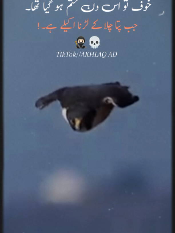 #creatorsearchinsights 😎🦅👑EAGLE 🦅 KING👑 ✅💯♥️🔥🦅🌎,,حادثات یہ نہ سمجھیں ابھی کہ پست ہوں میں  شکستہ ہو کر بھی نا قابل شکست ہوں میں 🦅🔥☝️, #fyp #viral #CapCut #tiktoksupportme 