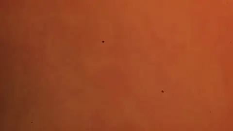 💌 তাদের সাথে কখনো কারো তুলনা হয় না..... 🕊️💗 #btsarmy #bts_official_bighit #kimtaehyung @TikTok