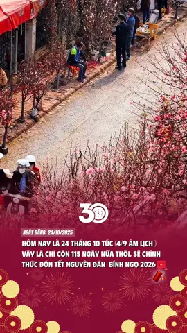 #đóntet2026🌸💐 #tetnguyendan #tetvietnam 