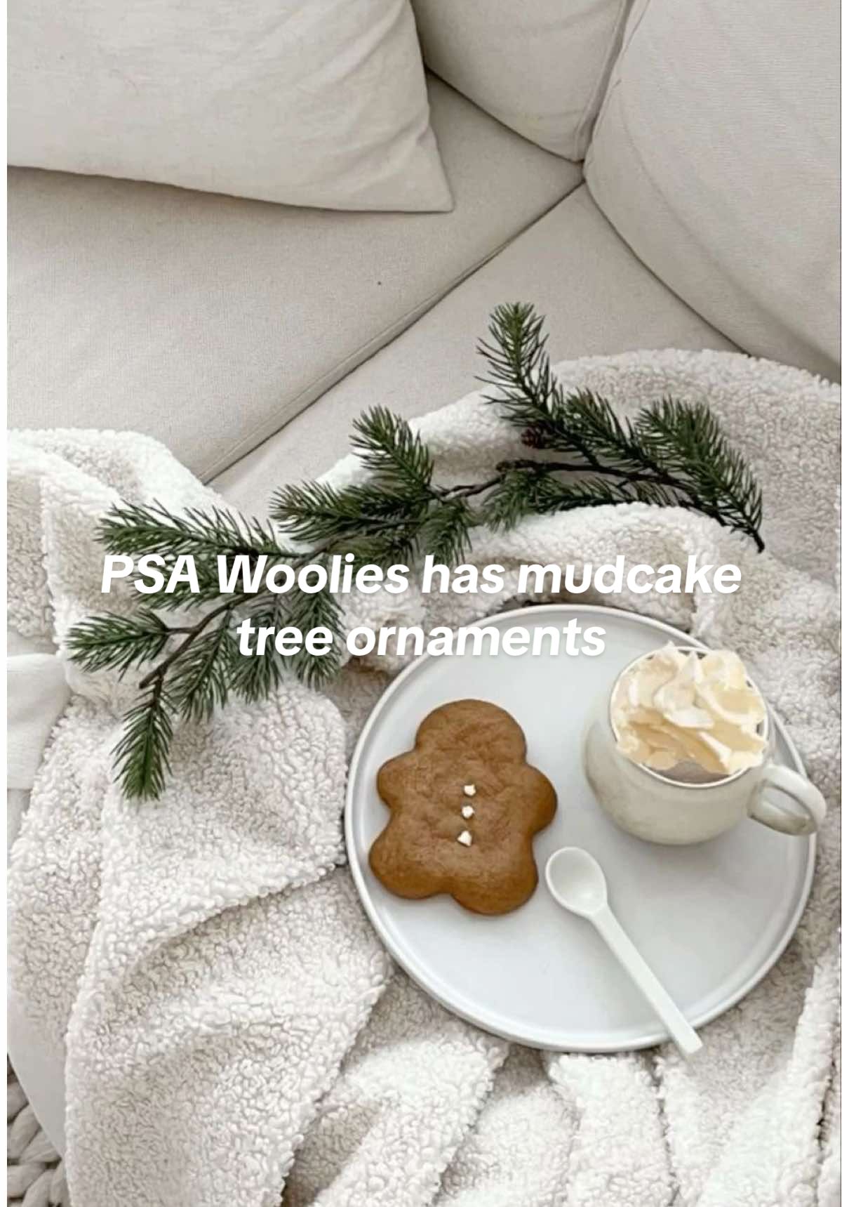 A true Aussie icon 👏🏽🎄Run don’t walk 🏃🏼‍♀️ @Woolworths_au  #christmas #christmastree #wooliesmudcake #treeornament #christmasdecor #aussiechristmas #aussiechildhood #christmas2025 pov you live in australia, christmas decor, woolies mudcake 