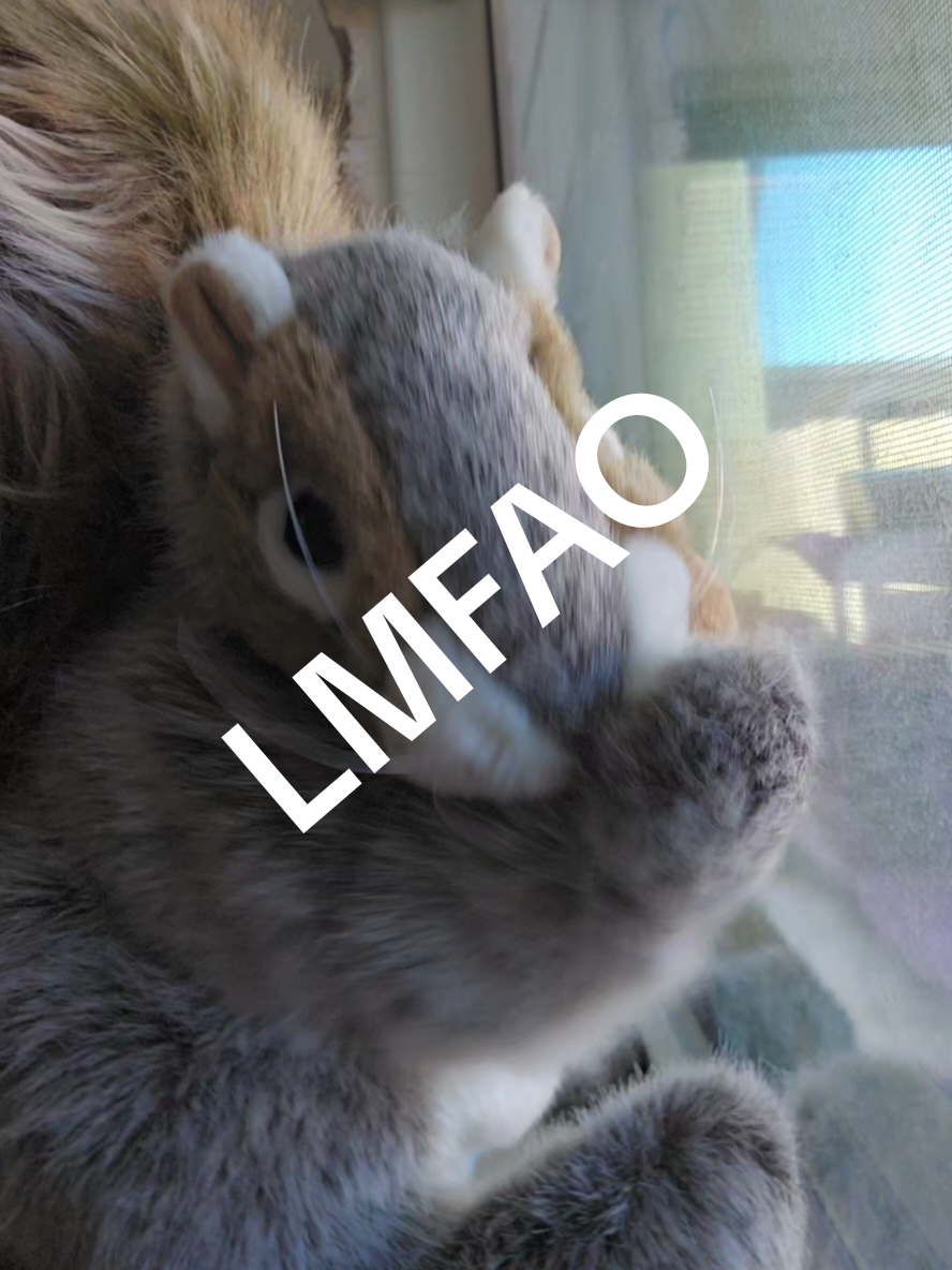 LMFAO Sexy and I know it 😉 #dancingsquirrel #nutzo #dance 