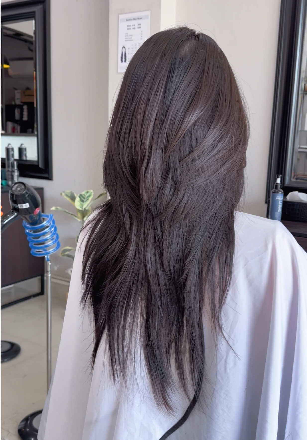 ทรง Hush Cut  ร้านก่อเกียรติราชบุรี  ปรึกษา จองคิว  ทักบ้าน🟩 @korkiat (มี@ด้วย) #ร้านทําผมราชบุรี #ร้านตัดผมราชบุรี #wolfcut #hushcut #layercut 