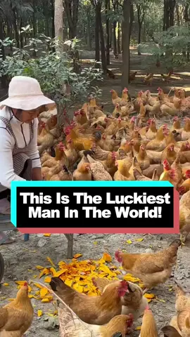 #eating #delicious #foodtiktok #cooking 