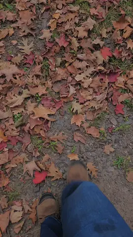 How it feels to hike during Halloween season #spooky #Halloween #fall #pov #aesthetic 
