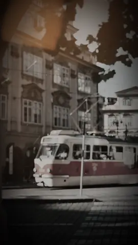 Ông trời ơi vì sao thế, Chẳng lẽ người như con lại ế? #capcutpioneer #pioneertemplate #capcut #nhachaymoingay #alway 