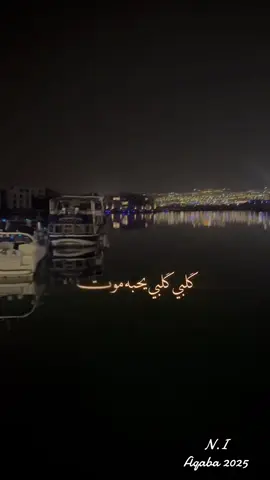 كلبي كلبي يحبك  موت#احمد_ستار #fy #اكسبلورexplore #تصويري📷 #fyp 