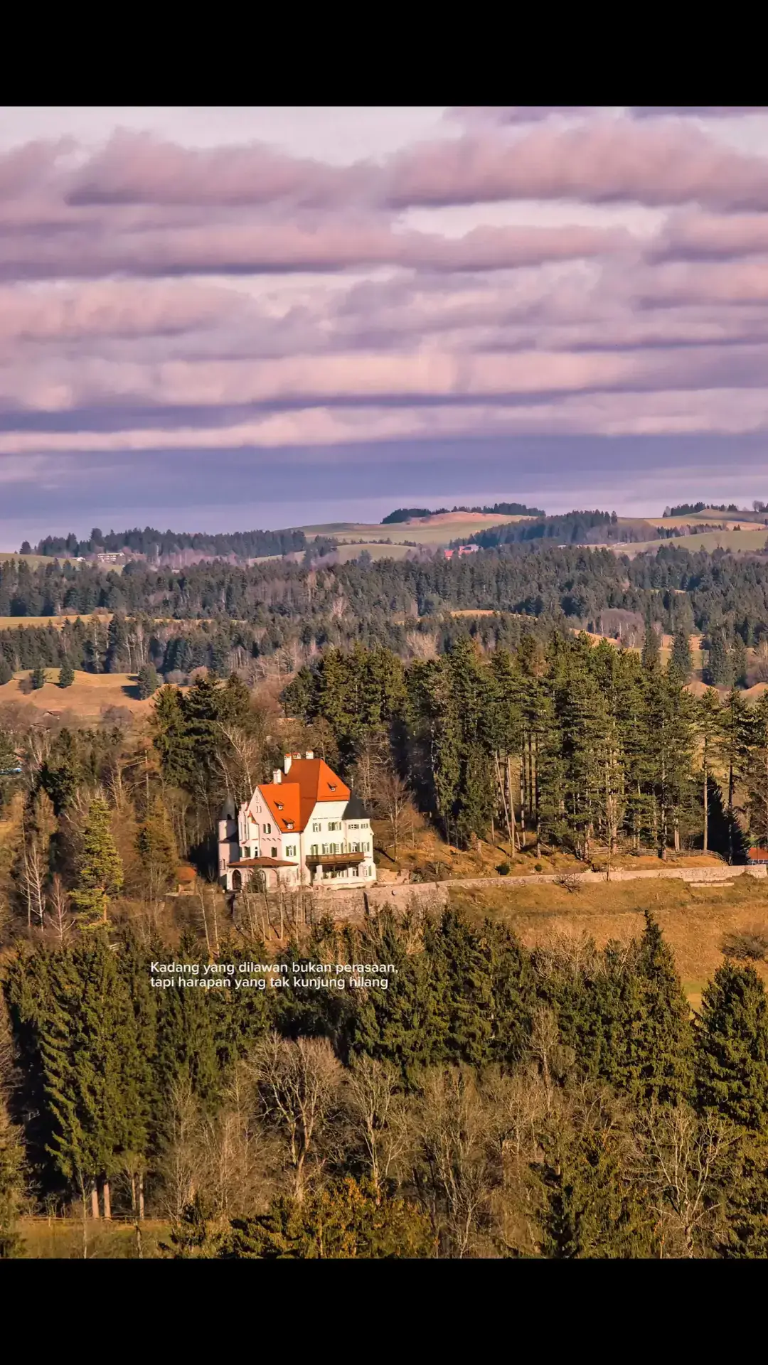 ... Berikut langkah-langkah membuat Tempe Mendoan yang gurih, lembut, dan renyah di luar 👇 📝 Bahan-bahan: 1 papan tempe (iris tipis dan lebar sesuai selera) 150 gram tepung terigu 2 sdm tepung beras (untuk hasil lebih renyah) 1 batang daun bawang, iris halus Air secukupnya Minyak goreng secukupnya 🧄 Bumbu halus: 3 siung bawang putih 1 sdt ketumbar ½ sdt kunyit bubuk (atau sedikit kunyit segar) Garam secukupnya Kaldu bubuk (opsional) 🍳 Langkah-langkah membuat Tempe Mendoan: Siapkan tempe Iris tempe tipis lebar (sekitar ½ cm). Jangan terlalu tebal agar bisa matang cepat dan lembut di dalam. Haluskan bumbu Ulek atau blender bawang putih, ketumbar, kunyit, dan garam sampai halus. Buat adonan tepung Campur tepung terigu, tepung beras, bumbu halus, daun bawang, dan air sedikit demi sedikit. Aduk sampai adonan agak kental tapi masih bisa menutupi tempe. Celupkan tempe Masukkan irisan tempe ke dalam adonan tepung, pastikan seluruh permukaannya terbalut rata. Goreng mendoan Panaskan minyak. Goreng tempe dalam minyak panas sebentar saja (jangan sampai kering). Cukup sampai bagian luar terlihat setengah matang dan lembek — inilah ciri khas “mendoan”. Tiriskan dan sajikan Angkat, tiriskan, dan sajikan hangat dengan cabai rawit atau sambal kecap. 🌶️ Semoga resep ini bermanfaat😊#foryoupage #4u #galaubrutal 