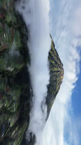 Sungguh begitu gagah gunung sumbing dengan di selimuti awan yang begitu indah - - - Sewa dokumentasi dm/wa yang ada di bio profil @Pesona Indonesia #wonderfulindonesia #montains🏔️ #gunungsumbing #wisatamagelang #magelangkotasejutabunga 