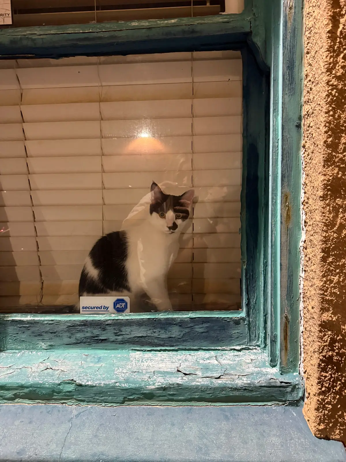 clearing out my camera roll😛