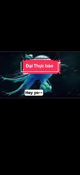 Đại thực bào  được sinh ra từ bạch cầu đơn nhân (monocyte) trong máu. Khi bạch cầu đơn nhân rời khỏi mạch máu và đi vào mô, chúng biến đổi thành đại thực bào.  😷😷🤒Khi vi khuẩn xâm nhập → đại thực bào là “vệ sĩ đầu tiên” lao tới, nuốt chửng kẻ địch, sau đó báo động cho hệ miễn dịch để huy động quân tiếp viện (tế bào T và B).#suckhoemoingay #chamsocbanthan #duocsi #macrophage #tebao 