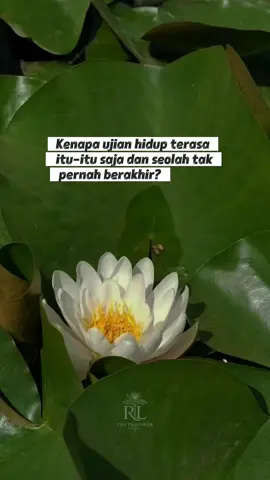 Kadang kita bertanya… “Kenapa aku selalu ketemu orang yang sama, dalam wajah yang berbeda?” “Kenapa ujian hidupku terasa itu-itu saja, hanya berganti bentuk? Jawabannya ada dalam The Law of Lessons, Hukum Pelajaran Hidup. Semuanya dijelaskan detail dalam buku 12 Laws of Life berikut ini. #12lawsoflife #truthseekerrl 