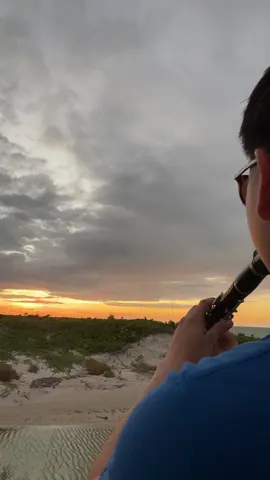 Consecuencia de mis actos ❤️#fyp #banda #videoviral #bandaelrecododecruzlizarraga #clarinete @Banda El Recodo @Bernardo Osuna Os 