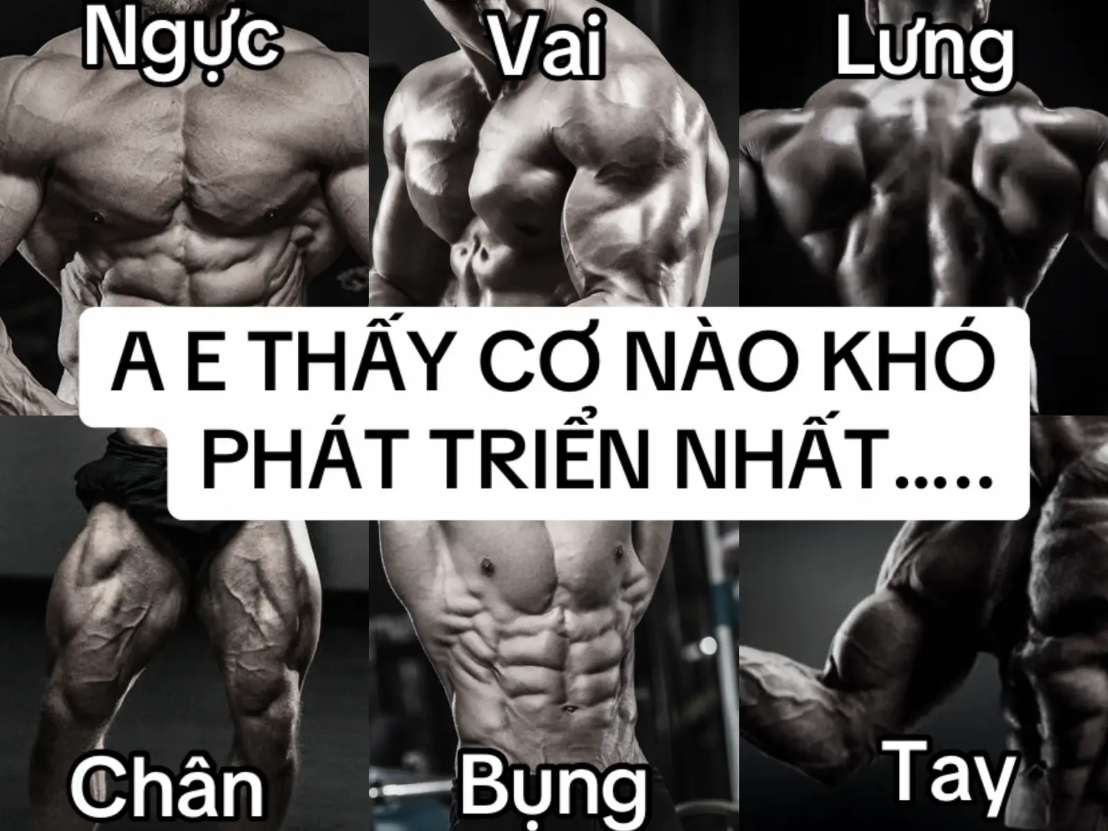 #gymmotivation #foryou #hoangphotruongptgym #Gym #gymmotivation🏋️‍♀️ 