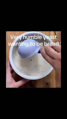 #bread #ineedtobebread #iwantbread#breadd #freebread@aydenwest @Blockboy19 @Ds_animator 