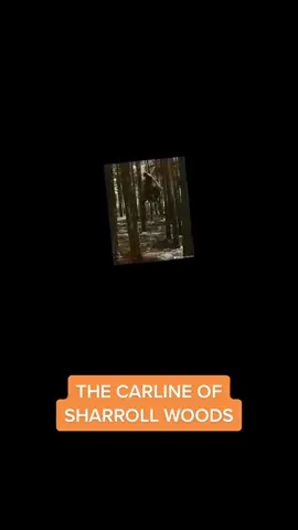 Prepare for a spine-chilling adventure! Dive into the world of horror with our latest book recommendation that will have you on the edge of your seat. Ready to get scared? 🧛‍♂️📚 #HorrorMovies #HorrorTok #HorrorBook #HorrorBookTok #HorrorBookToks #BookTok #BookToks #HorrorBooksTag #Filmmaking #FilmProduction #MakeMovies #FilmProducer