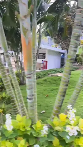 Ida laila_tak setia padamu #lagulawas#lagukenangan#idalaila#foryoupage 