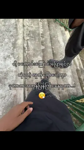 အကုန်ပြန်ကြားရတယ်နော်#crdစာသား #fyp_viral_tiktok #viral_video #livephoto 