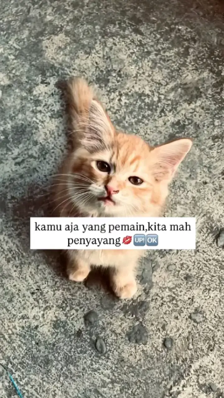 sayang abang