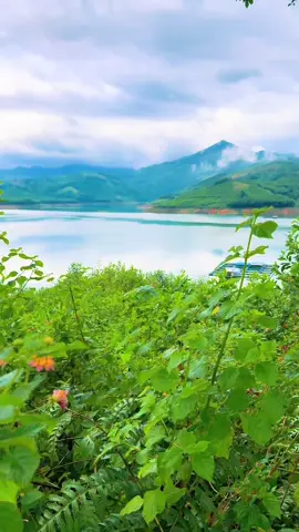 Đời người ngắn lắm, hãy sống cho trọn vẹn từng ngày…!🌸❤️🌸❤️☘️