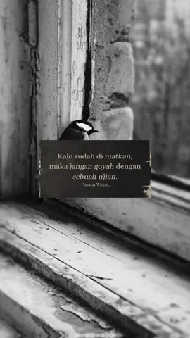 #pusakawaktu #xybca 