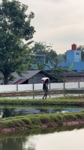 jumat berkah seleksi tosai 🫴🏼