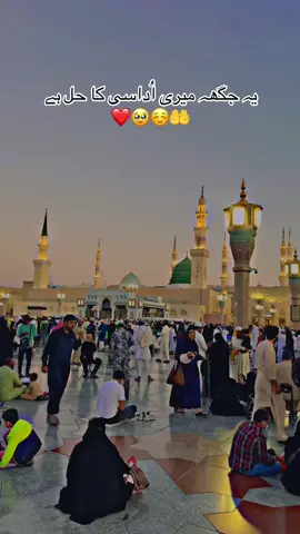 Udasi ka Hal ha 🤲❤️🥹☺️#🥹🥹 #viralvideo #fypシ゚viral #madina #viewsproblem😭 