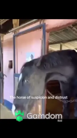 The horse of suspicion and distrust 😳