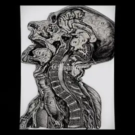 Hard palate development is crucial #looksmax #bpedit #lookism #beauty #foryourpage 