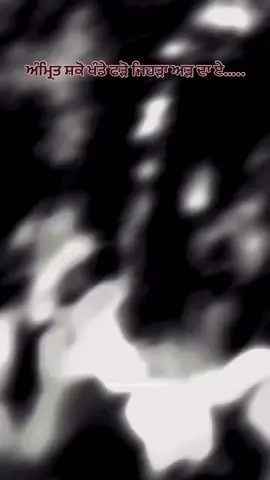 #khalsaraaj✊🚩 #panjab #tiktokpost 