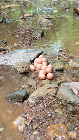 ไปไม่รอเลยกบหวงไข่หนีไม่ทันแกล้งหลับก่อนฮ่าๆ