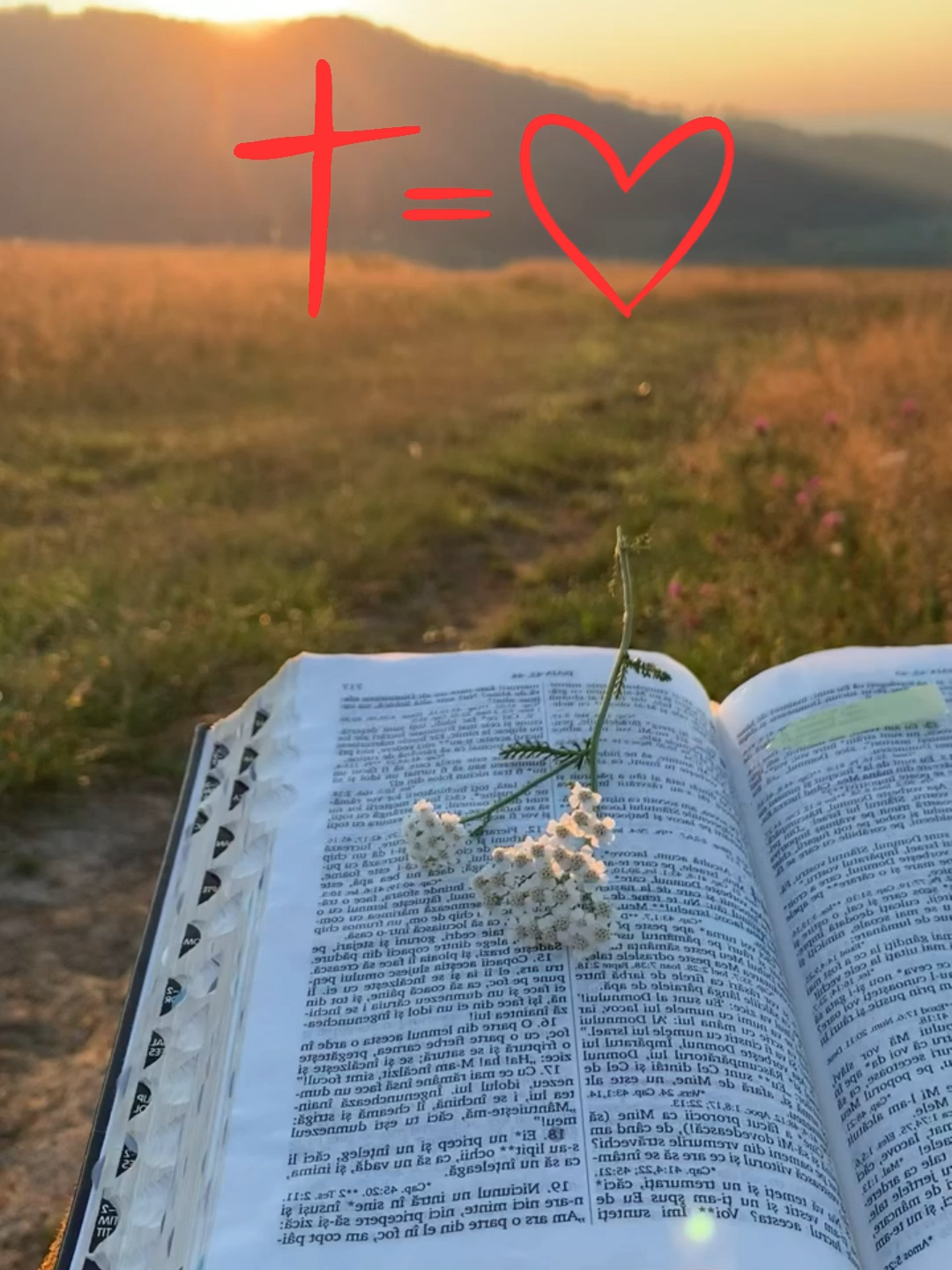 #Esperança #PalavraDeDeus #Fé #MotivaçãoCristã