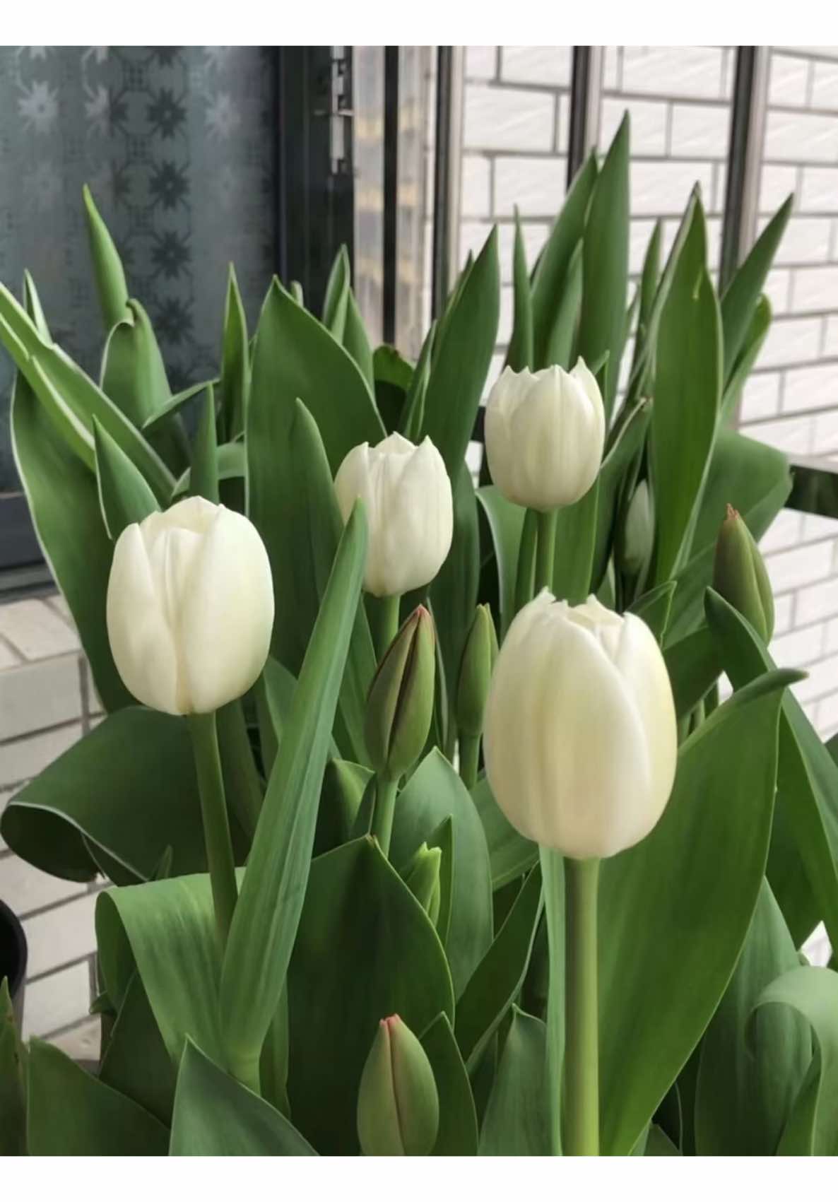 Thời tiết những ngày cuối năm 💤