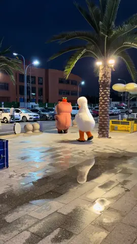 #capybara #peace #loveyou 