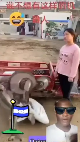 waos #pepino #pepinowow #jinetesdeladesinformacion #robos #mamitaconstruccion 